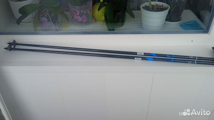 Палки для скандинавской ходьбы карбон