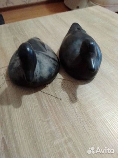 Пара резиновых уток