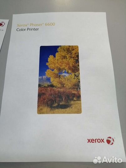 Xerox 6600dn