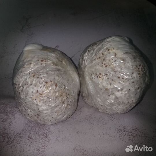 Зерно с мицелием