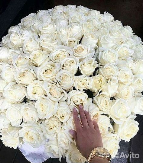 Розы гиганты 140 150 160 170 180 200