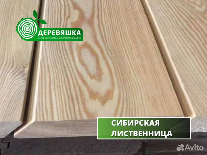 Планкен лиственница