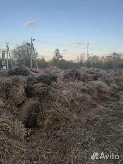 Сено, компост,перегной,навоз,отходы