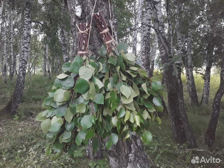 Веники березовые для бани