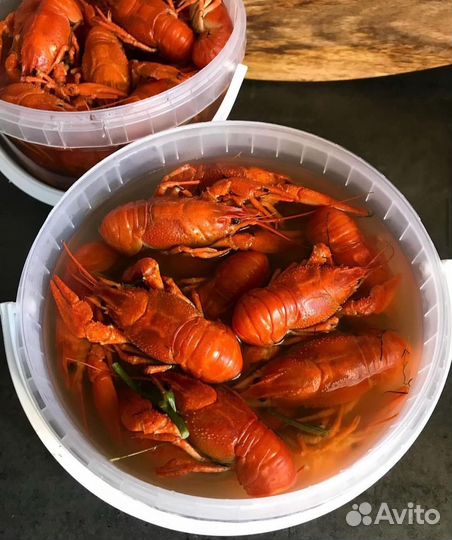 Раки (живые и вареные)