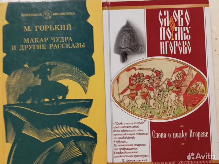 Книги по внеклассному чтению для Петра