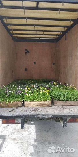 Грузоперевозки, услуги грузчиков