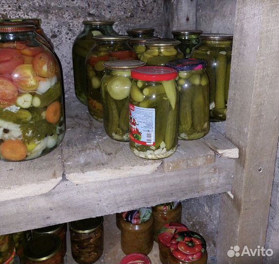 Соленья домашние