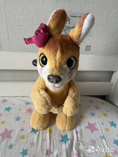 Кенгуру джози