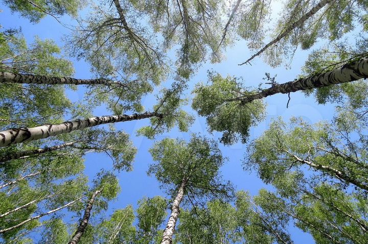 2-к. квартира, 62,1 м², 20/23 эт.