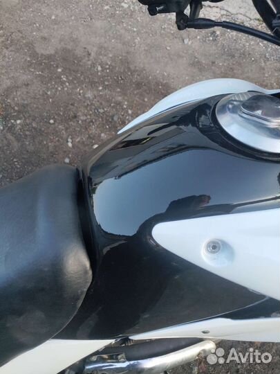 Fighter tsr 250 21\18