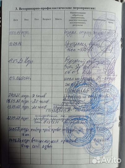 Козье молоко, сыр, молозиво