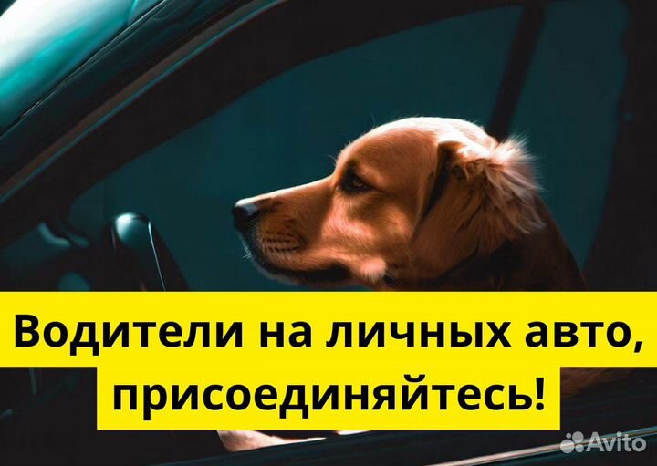 Ищем водителя с автомобилем для яндексgo