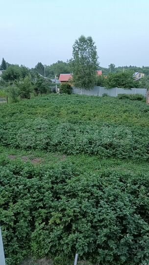 Дача 45 м² на участке 10 сот.