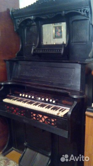 Физгармония (орган)