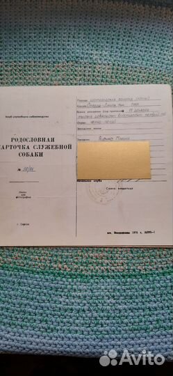 Медали служебного собаководства