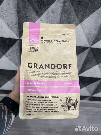 Grandorf для котят