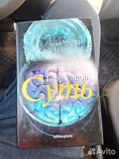 Егор Радов - Суть