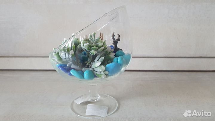 Флорариум новый