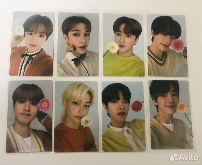 Stray kids карточки nacific