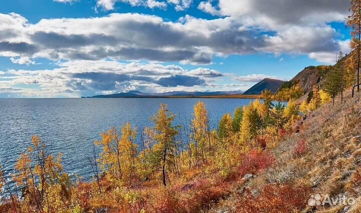 Экспедиция 