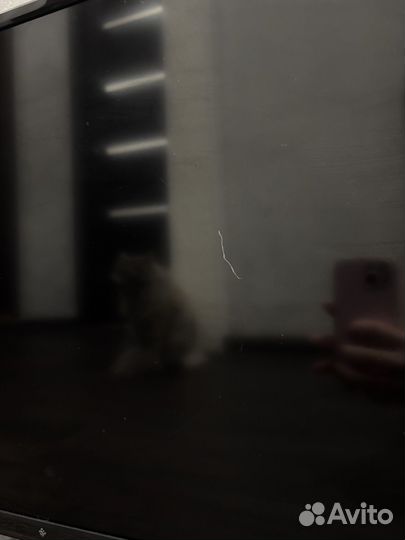 Телевизор dexp 32