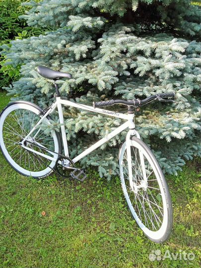 Стильный синглспид Zulu