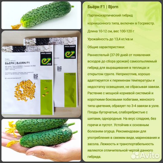 Семена овощей и зелени ГОСТ