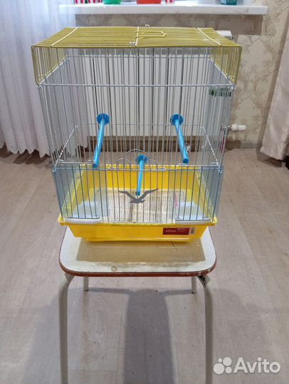 Кенара канарейки