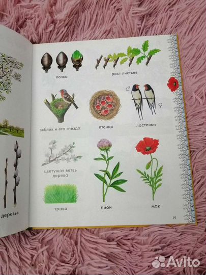 Энциклопедия