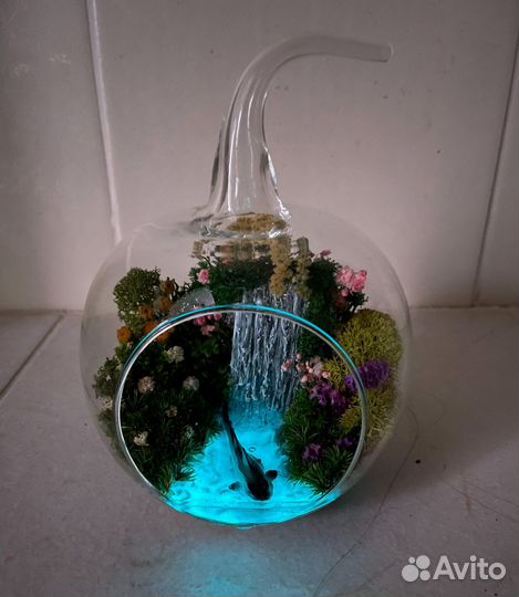 Моссариум в форме яблочко с рыбой, флорариум