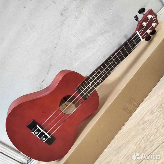 Укулеле концерт новая