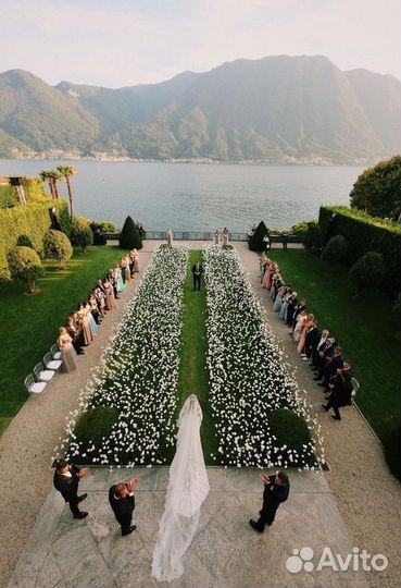 Свадебный организатор