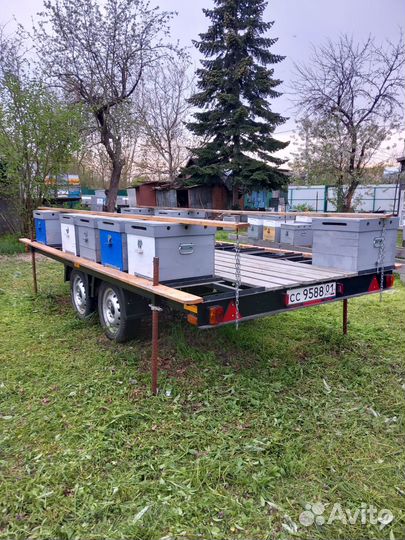 Прицеп пчеловодческий