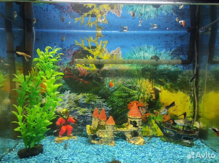 Аквариум 75л с рыбками