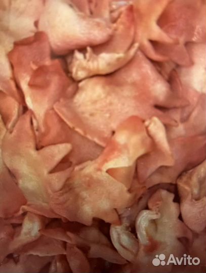 Мясо для собак в ассортименте