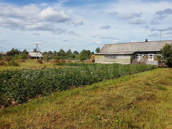 Авито мантурово костромской. Поселок имени Калинина Нижегородская область. Пос им Калинина Ветлужский район Нижегородская область. Посёлок им Калинина Нижегородская область Ветлужский район. Рабочий поселок Калинина Нижегородская.