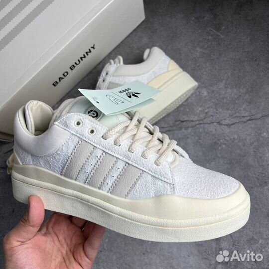 Adidas Campus & Bad Bunny Cream