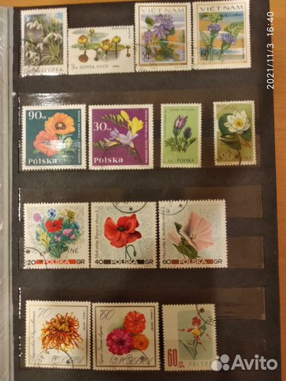 Марки по теме Флора