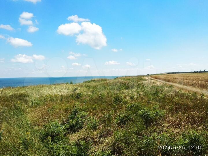 Участок 4,22 га (ИЖС)