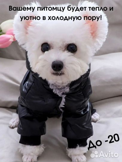 Зимний комбинезон L для собак мелких пород