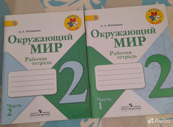 Рабочая тетрадь 2 класс Плешаков