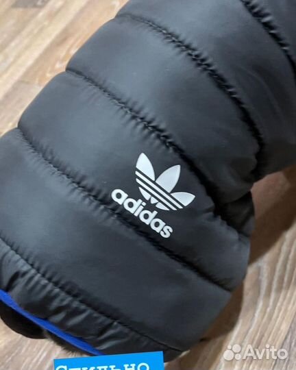 Одежда для собак