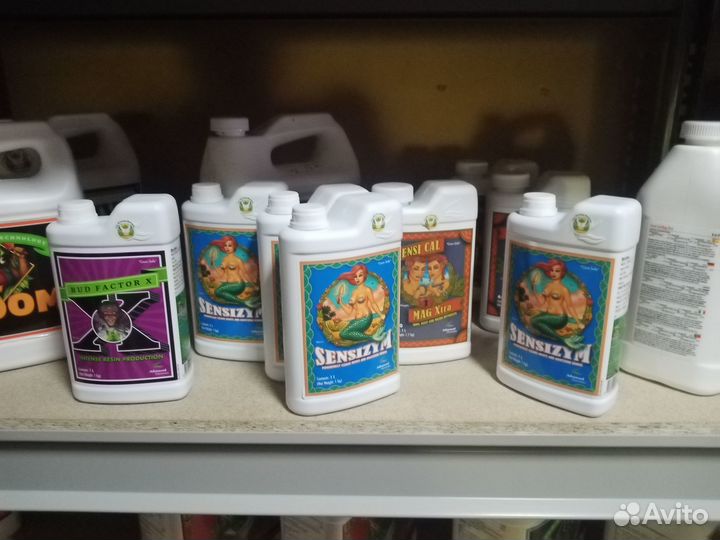 Готовый гроубокс