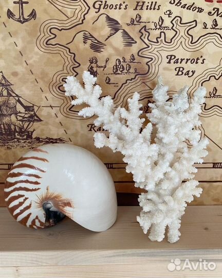 Штурвал Ложки для обуви Рында Якорь и др