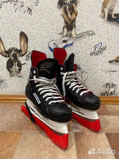 Коньки bauer