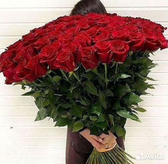 101 роза цветы букеты доставка 25 51 101 роза