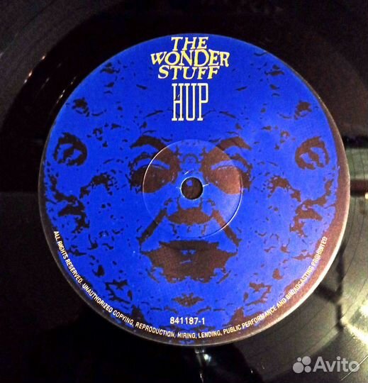 Виниловые пластинки The Wonder Stuff