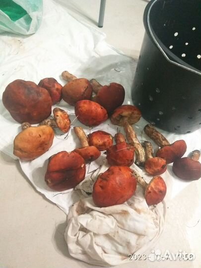 Продукты питания
