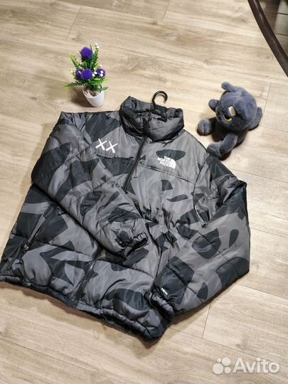 Куртка tnf 700